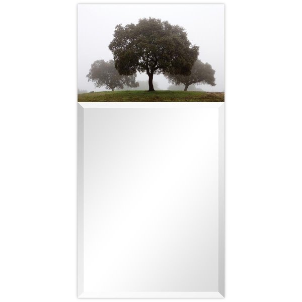Solid Storage Supplies Solitude Rectangular Beveled Mirror on Free Floating Printed Tempered Art Glass SO2573486